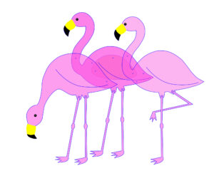 Illustration of Three Pink Flamingos in different poses.
